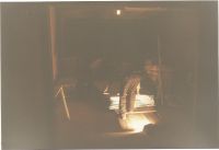 Verein Fotos0056